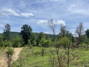 Property photo for land for sale in Boone County Arkansas