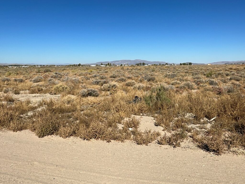 Property photo for land for sale in Lyon County Nevada