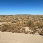 Property photo for land for sale in Lyon County Nevada