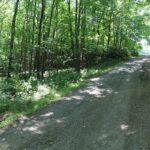 Property photo for land for sale in Patrick County Virginia