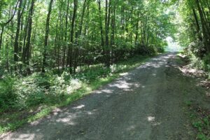 Property photo for land for sale in Patrick County Virginia