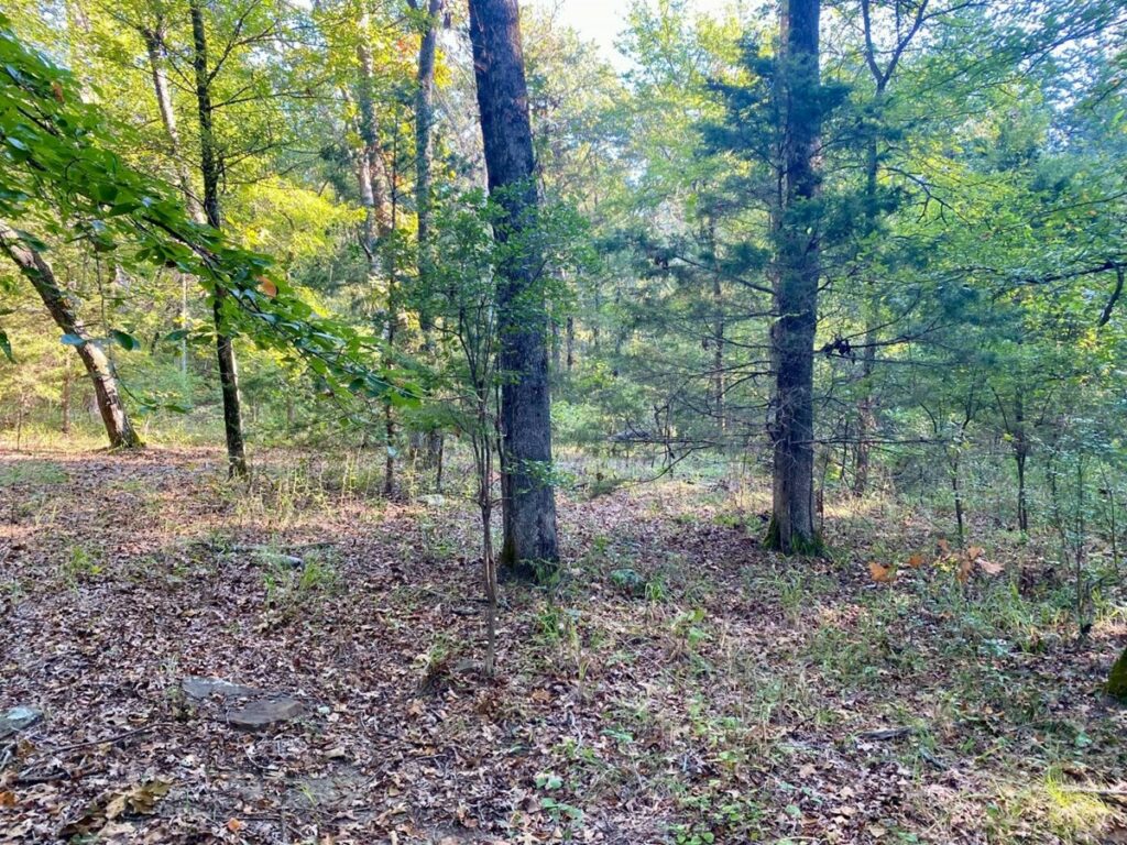 Property photo for land for sale in Pushmataha County Oklahoma