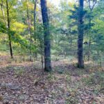 Property photo for land for sale in Pushmataha County Oklahoma