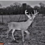 Property photo for land for sale in Brown County Texas