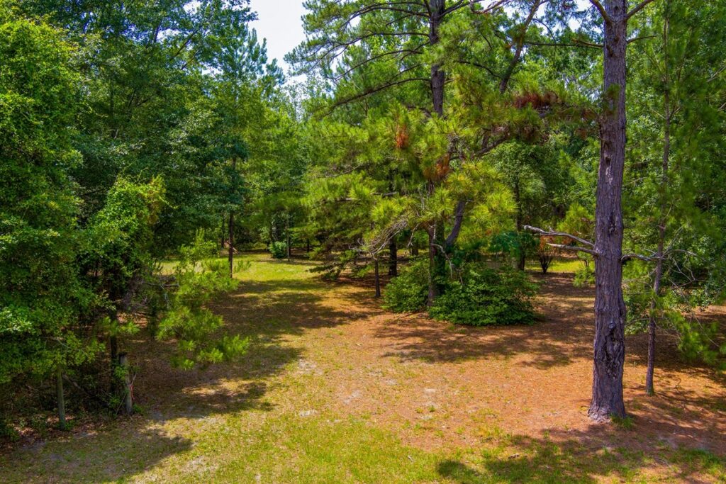 Property photo for land for sale in Suwannee County Florida