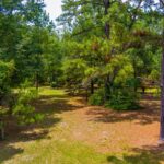 Property photo for land for sale in Suwannee County Florida