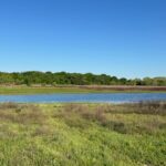 Property photo for land for sale in Montague County Texas