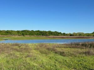 Property photo for land for sale in Montague County Texas