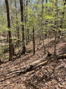 Property photo for land for sale in Butler County Alabama