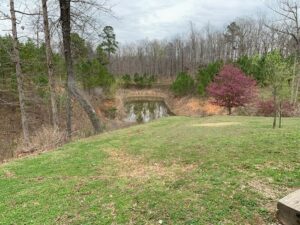 Property photo for land for sale in Marion County Arkansas