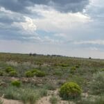 Property photo for land for sale in Torrance County New Mexico