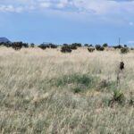 Property photo for land for sale in Santa Fe County New Mexico