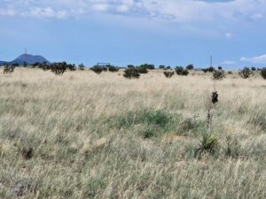 Property photo for land for sale in Santa Fe County New Mexico