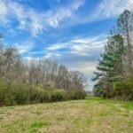 Property photo for land for sale in Lincoln County Mississippi