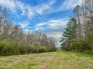 Property photo for land for sale in Lincoln County Mississippi