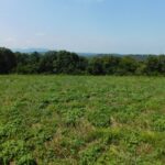 Property photo for land for sale in Newton County Arkansas