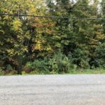 Property photo for land for sale in Mecklenburg County Virginia