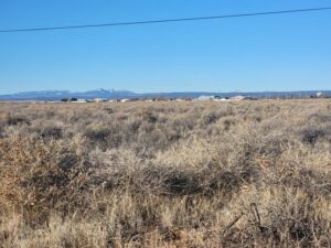 Property photo for land for sale in Torrance County New Mexico