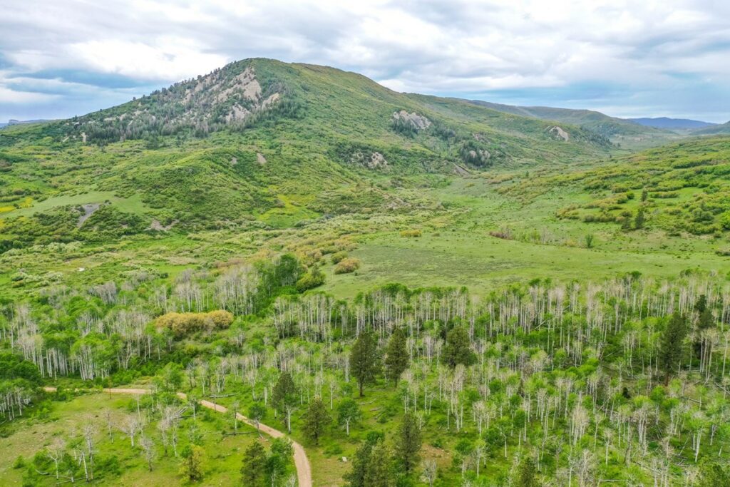 Property photo for land for sale in Montezuma County Colorado