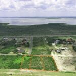 Property photo for land for sale in Live Oak County Texas