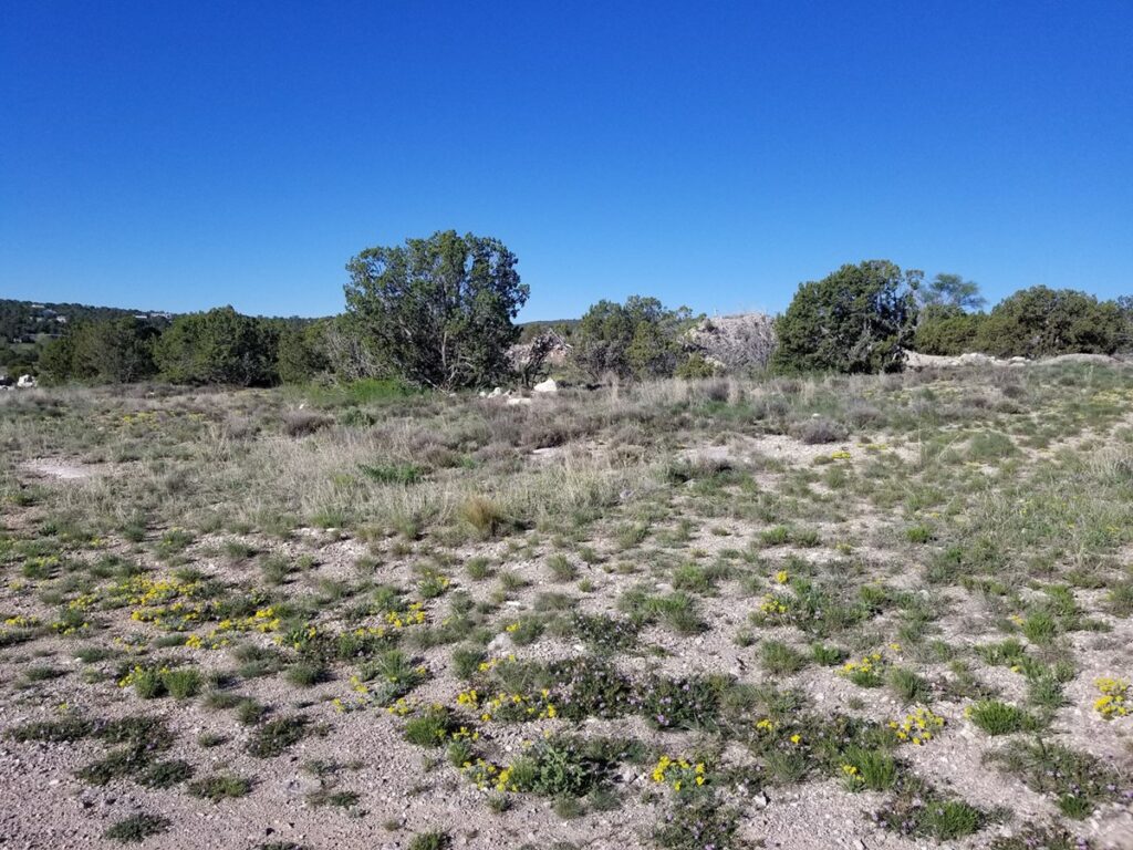 Property photo for land for sale in Santa Fe County New Mexico