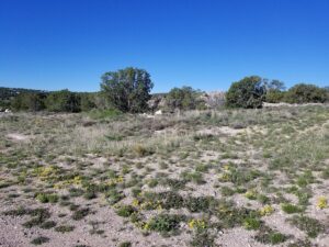 Property photo for land for sale in Santa Fe County New Mexico