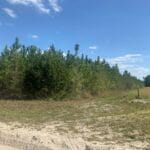 Property photo for land for sale in Gilchrist County Florida