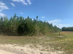 Property photo for land for sale in Gilchrist County Florida