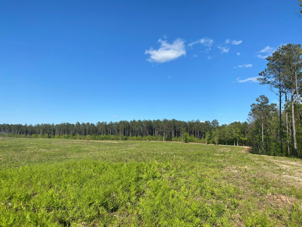 Property photo for land for sale in McNairy County Tennessee