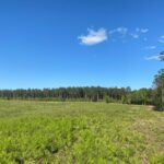 Property photo for land for sale in McNairy County Tennessee