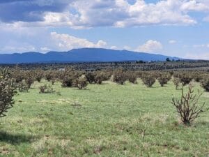 Property photo for land for sale in Santa Fe County New Mexico