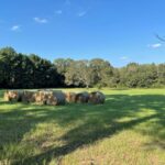 Property photo for land for sale in McCurtain County Oklahoma