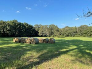 Property photo for land for sale in McCurtain County Oklahoma