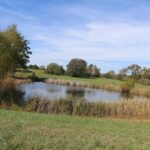 Property photo for land for sale in Howell County Missouri