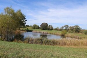 Property photo for land for sale in Howell County Missouri