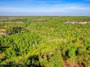 Property photo for land for sale in Fentress County Tennessee