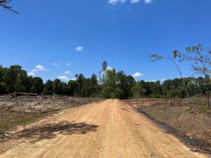 Property photo for land for sale in Columbia County Arkansas