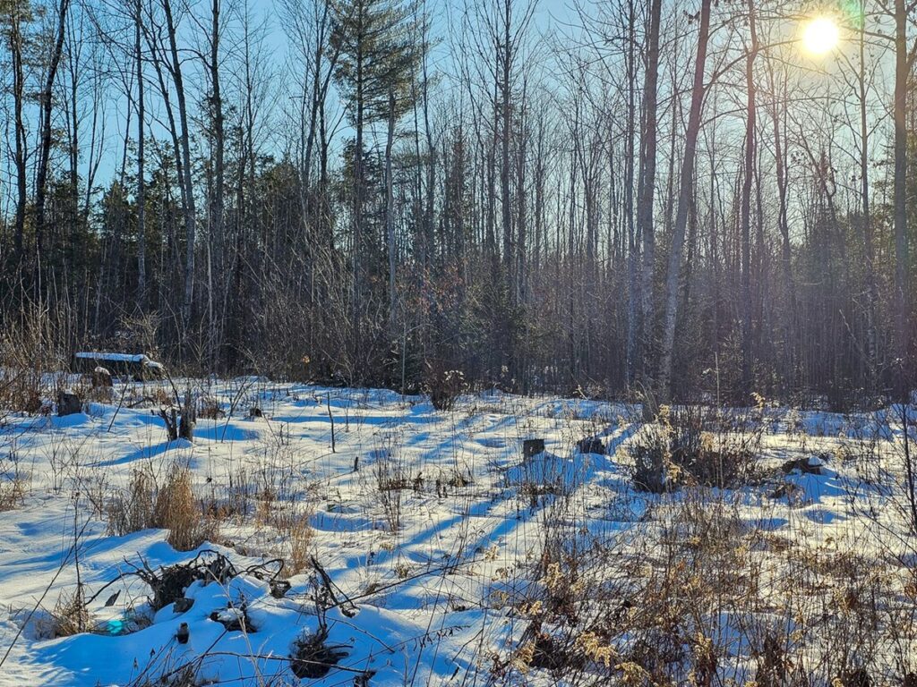 Property photo for land for sale in Penobscot County Maine