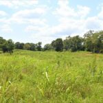 Property photo for land for sale in Pike County Mississippi