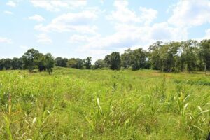 Property photo for land for sale in Pike County Mississippi