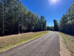 Property photo for land for sale in Pike County Mississippi