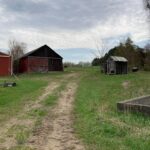 Property photo for land for sale in Wexford County Michigan