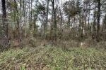 Property photo for land for sale in Suwannee County Florida