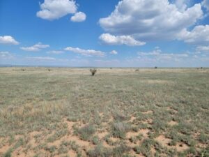 Property photo for land for sale in Santa Fe County New Mexico