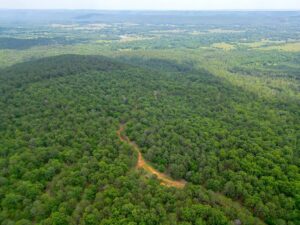 Property photo for land for sale in Atoka County Oklahoma