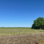 Property photo for land for sale in Fannin County Texas