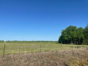 Property photo for land for sale in Fannin County Texas