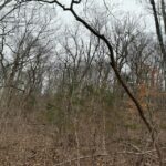 Property photo for land for sale in Greene County Tennessee