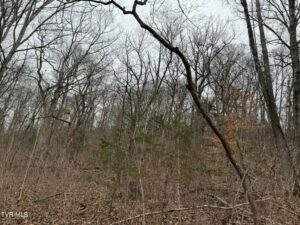 Property photo for land for sale in Greene County Tennessee