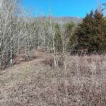 Property photo for land for sale in Grainger County Tennessee